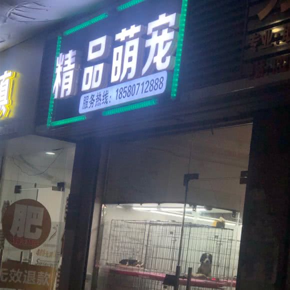 精品萌宠:重庆城区合川区南津街街道附近