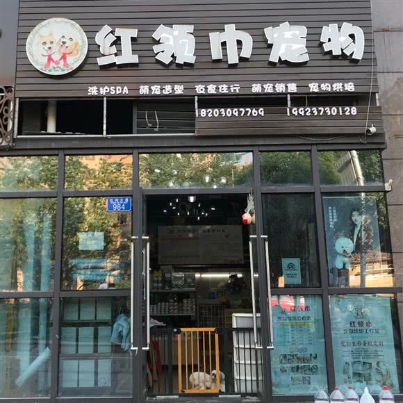 红领巾宠物(悦城店):重庆城区永川区中山路街道附近