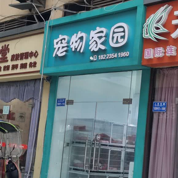 宠物家园:重庆城区永川区中山路街道附近