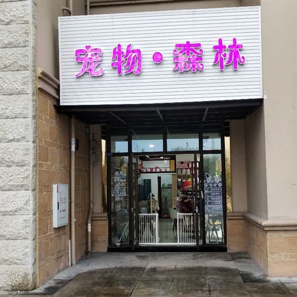 宠物森林(金科店):重庆城区永川区中山路街道附近