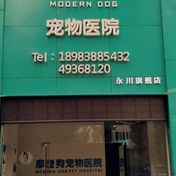 摩登狗宠物医院(永川旗舰店):重庆城区永川区中山路街道附近