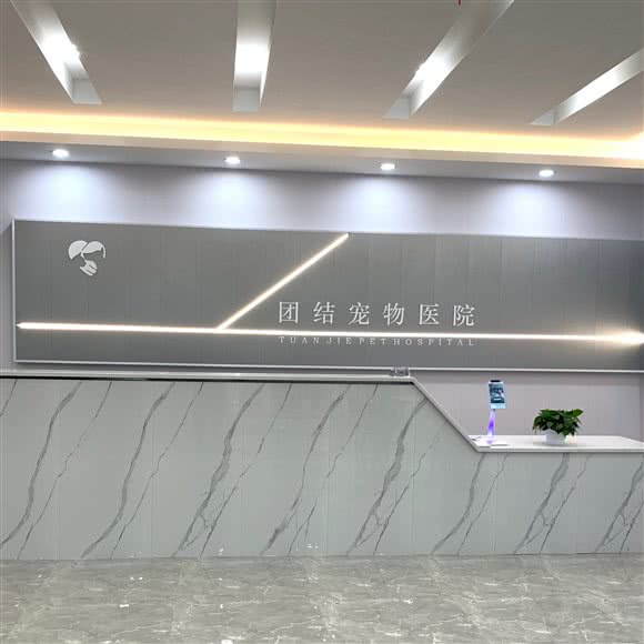 团结起来宠物医院:重庆城区永川区中山路街道附近