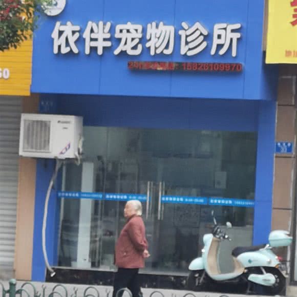 依伴宠物诊所:重庆城区永川区中山路街道附近