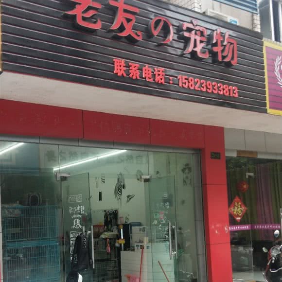 挚友的宠物:重庆城区永川区胜利路街道附近