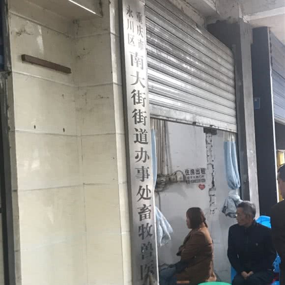 南大街办事处畜牧兽医站人工授精点:重庆城区永川区胜利路街道附近