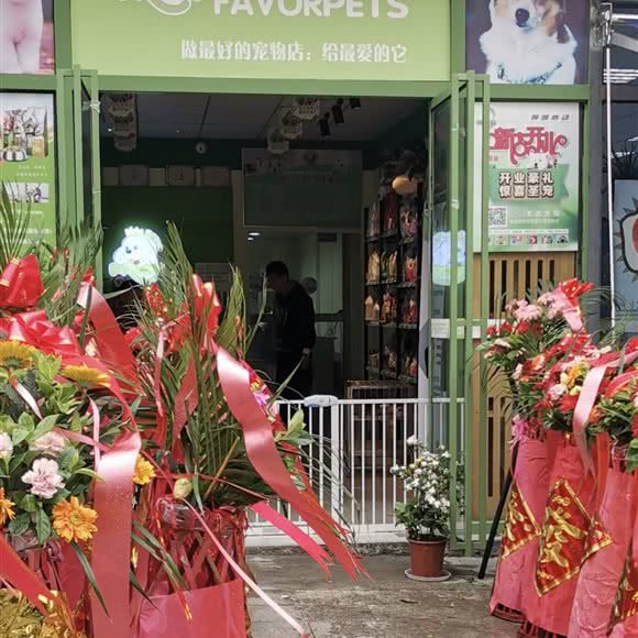 圣宠宠物盛源酒都店:成都市锦江区春熙路附近