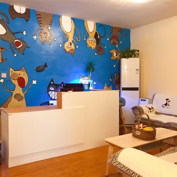 香堇猫生活馆:成都市锦江区万达广场附近