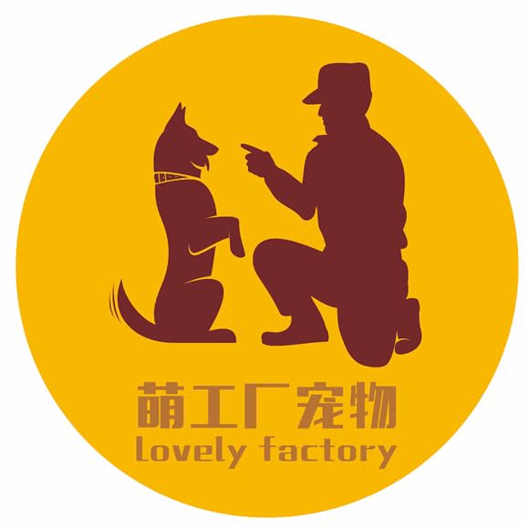 智爱训犬学校:成都市锦江区万达广场附近