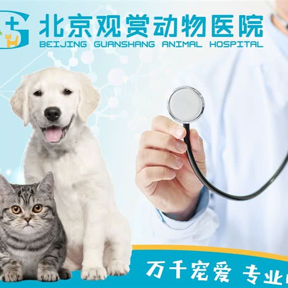 观赏动物医院24h:北京城区朝阳区安贞附近