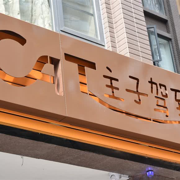 Cat主子驾到(猫咪洗澡护理SPA馆):成都市锦江区万达广场附近