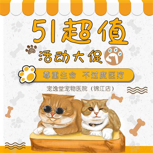 锦江区宠逸堂宠物医院:成都市锦江区四川师大附近