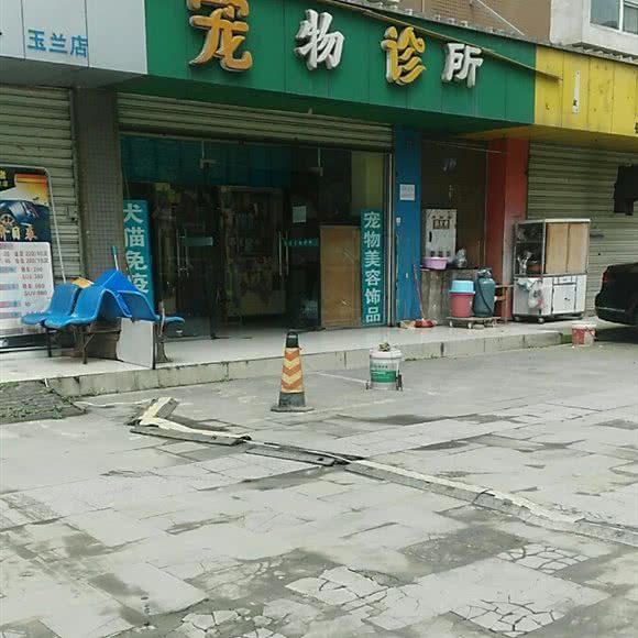 宠物诊所:成都市锦江区四川师大附近
