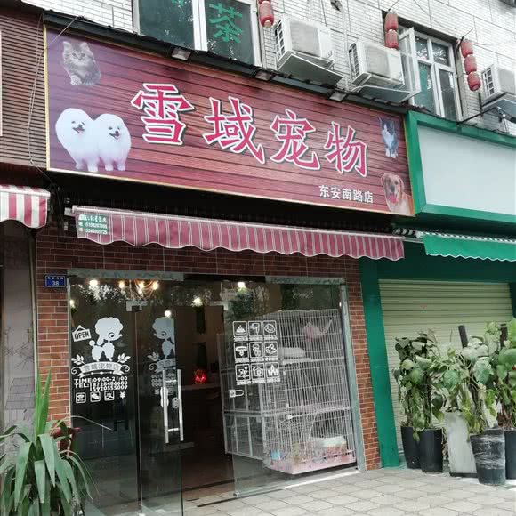 雪域宠物:成都市锦江区书院街附近