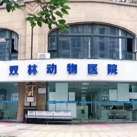 双林动物医院:成都市锦江区双桥子/水碾河附近