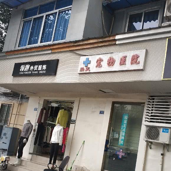 乐天宠物医院:成都市锦江区双桥子/水碾河附近