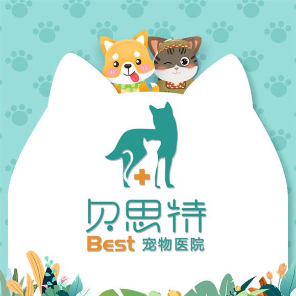 贝思特宠物医院:成都市锦江区牛市口附近