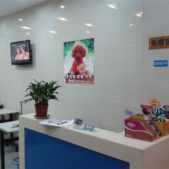 莲花宠物医院:成都市锦江区牛市口附近