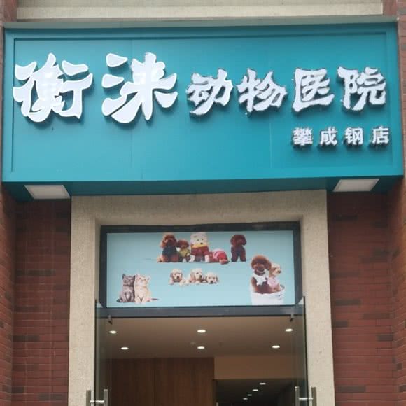 衡涞宠物医院(攀成钢店):成都市锦江区牛市口附近