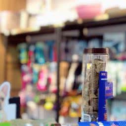 猫你专业猫咪护理寄养(创意山店):成都市锦江区三圣乡附近