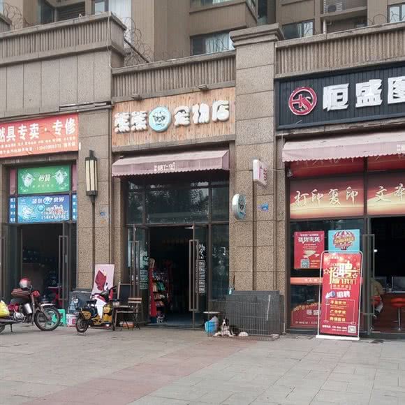 熊熊宠物店:成都市锦江区三圣乡附近
