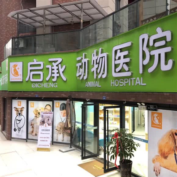 启承动物医院:成都市锦江区三圣乡附近