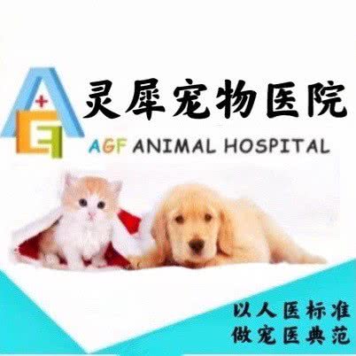 AGF·灵犀宠物医院:成都市锦江区三圣乡附近