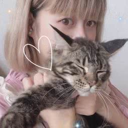 薄荷萌宠:成都市锦江区川师大菊园一条路附近