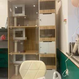 多宝宠物馆:成都市锦江区春熙路/太古里附近