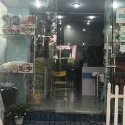 大目宠物屋:成都市锦江区滨江路附近