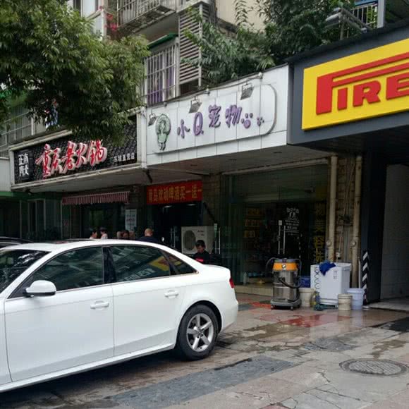 小Q宠物:成都市青羊区光华村附近