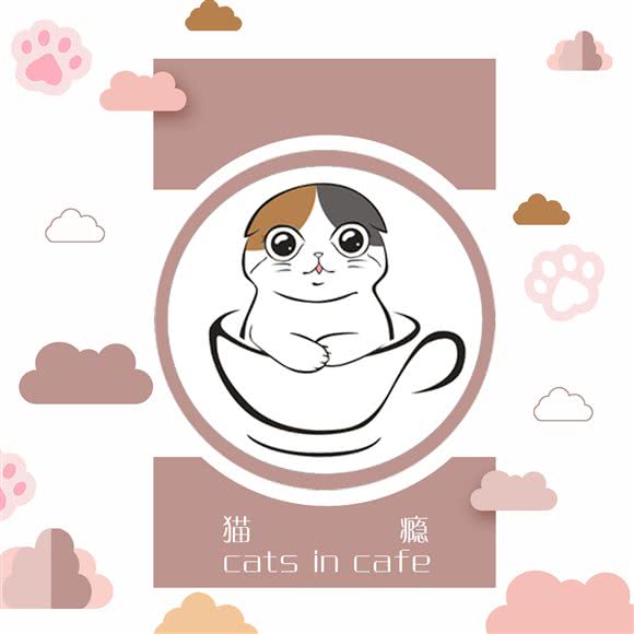 猫戏瘾 美容寄养:成都市青羊区光华村附近