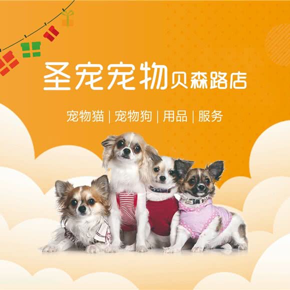 圣宠宠物贝森路店:成都市青羊区光华村附近