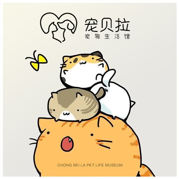 宠贝拉宠物生活馆:成都市青羊区金沙遗址/西单商场附近