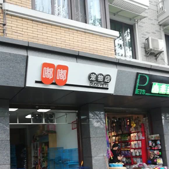嘟嘟宠物店:成都市青羊区杜甫草堂附近