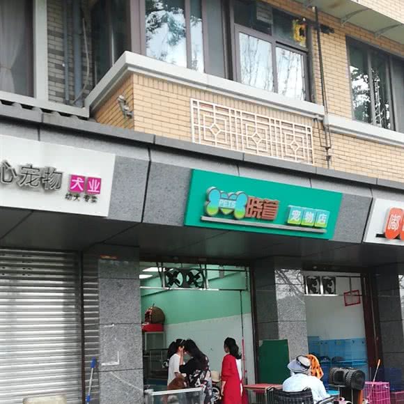 晓萱宠物店:成都市青羊区青羊宫附近