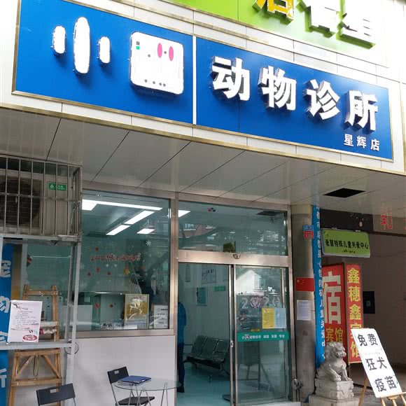 小口宠物诊所:成都市青羊区北门大桥附近