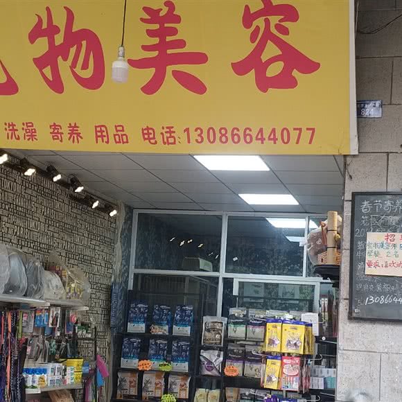 宠物美容:成都市青羊区中坝/青羊万达附近