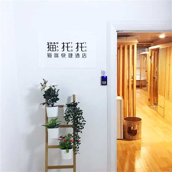 猫托托猫咪酒店·寄养(青年路店):北京城区朝阳区青年路附近