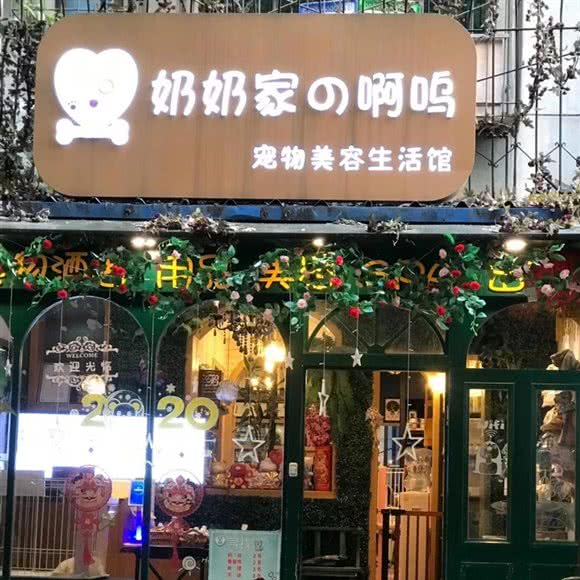 奶奶家の啊呜专业猫店:成都市青羊区八宝街附近