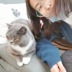 圆圆的宠物工作室:成都市金牛区人民北路附近