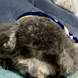 神兽阁(龙湖天街店):成都市金牛区人民北路附近