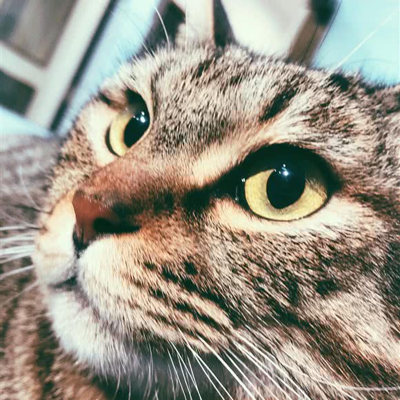 慕熙·吉宠:成都市金牛区西南交大附近