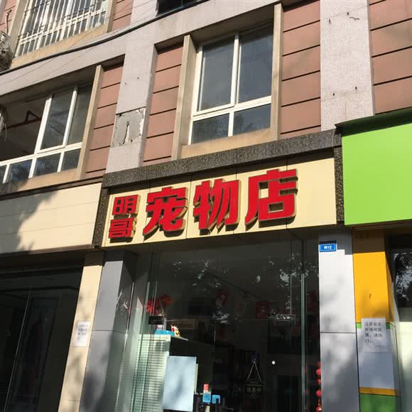 明哥宠物店:成都市金牛区西南交大附近