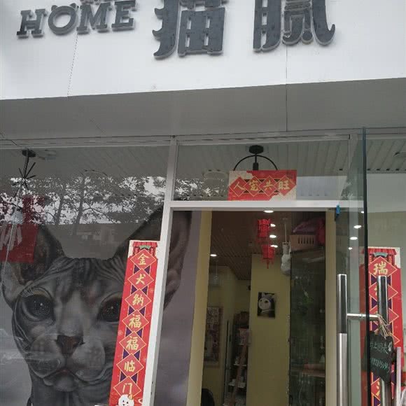 猫腻:成都市金牛区西南交大附近