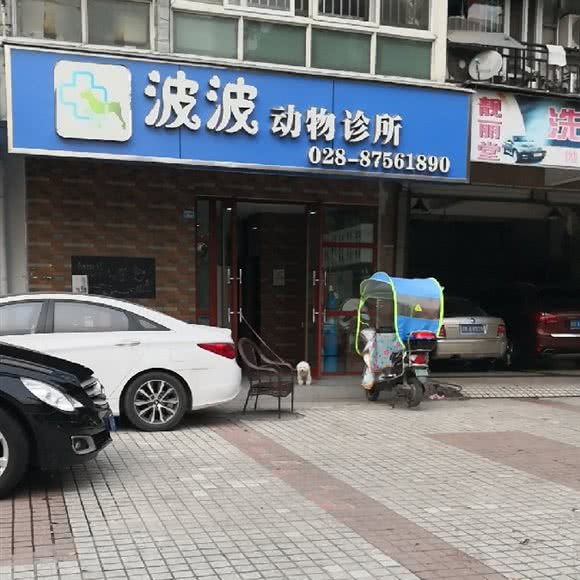 波波哺乳动物诊所:成都市金牛区蜀汉路附近