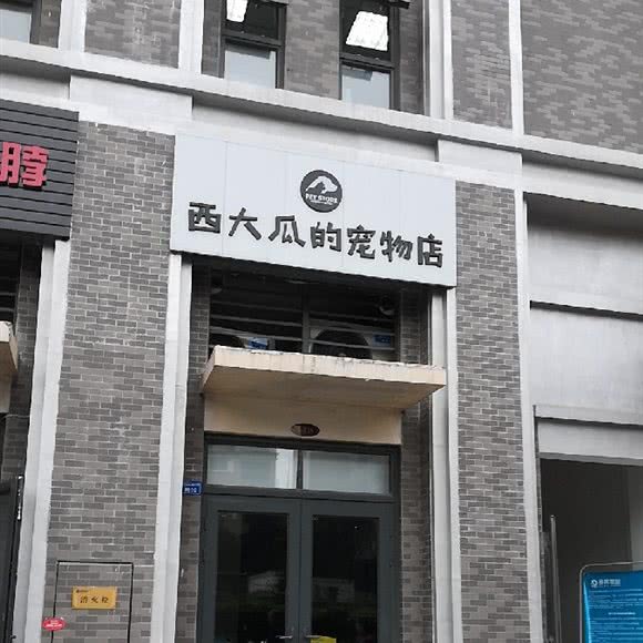 西大瓜的宠物店:成都市金牛区梁家巷附近