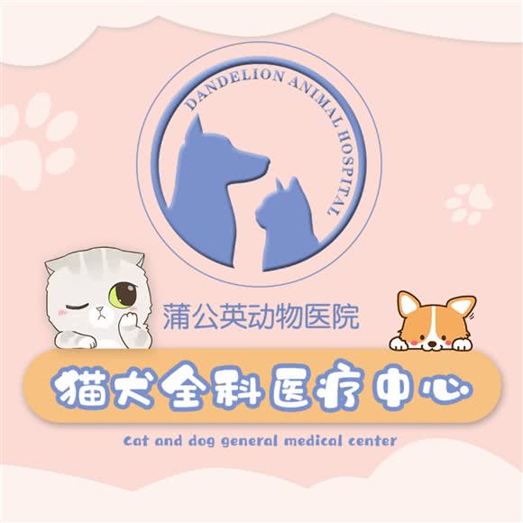 蒲公英动物医院骨科(曹家巷店):成都市金牛区梁家巷附近