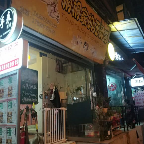 桐桐家的汪和喵:成都市金牛区抚琴附近