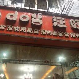 dog汪旺:成都市金牛区营门口附近