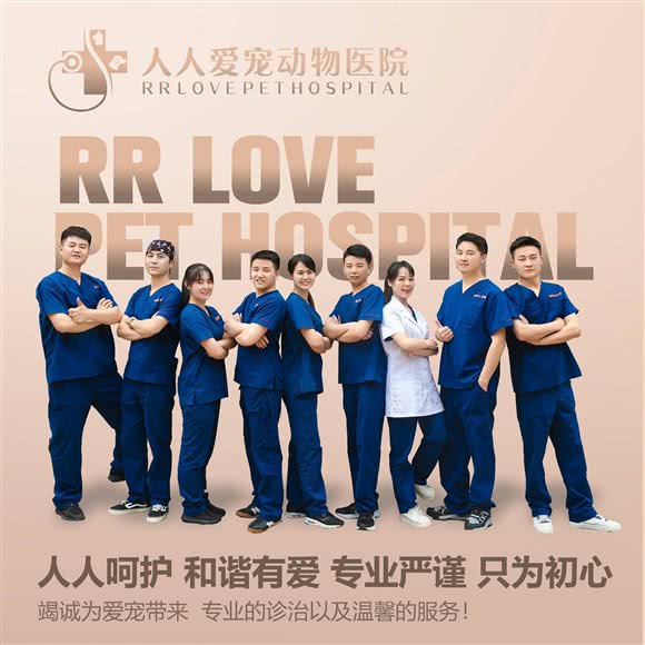人人爱宠动物医院24小时:成都市金牛区茶店子附近